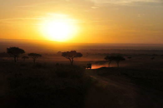 Heading home after a day on the Serengeti
